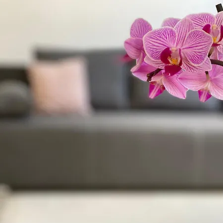 Andrea Apartment Hajduszoboszlo