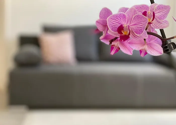 Andrea Apartament Hajdúszoboszló